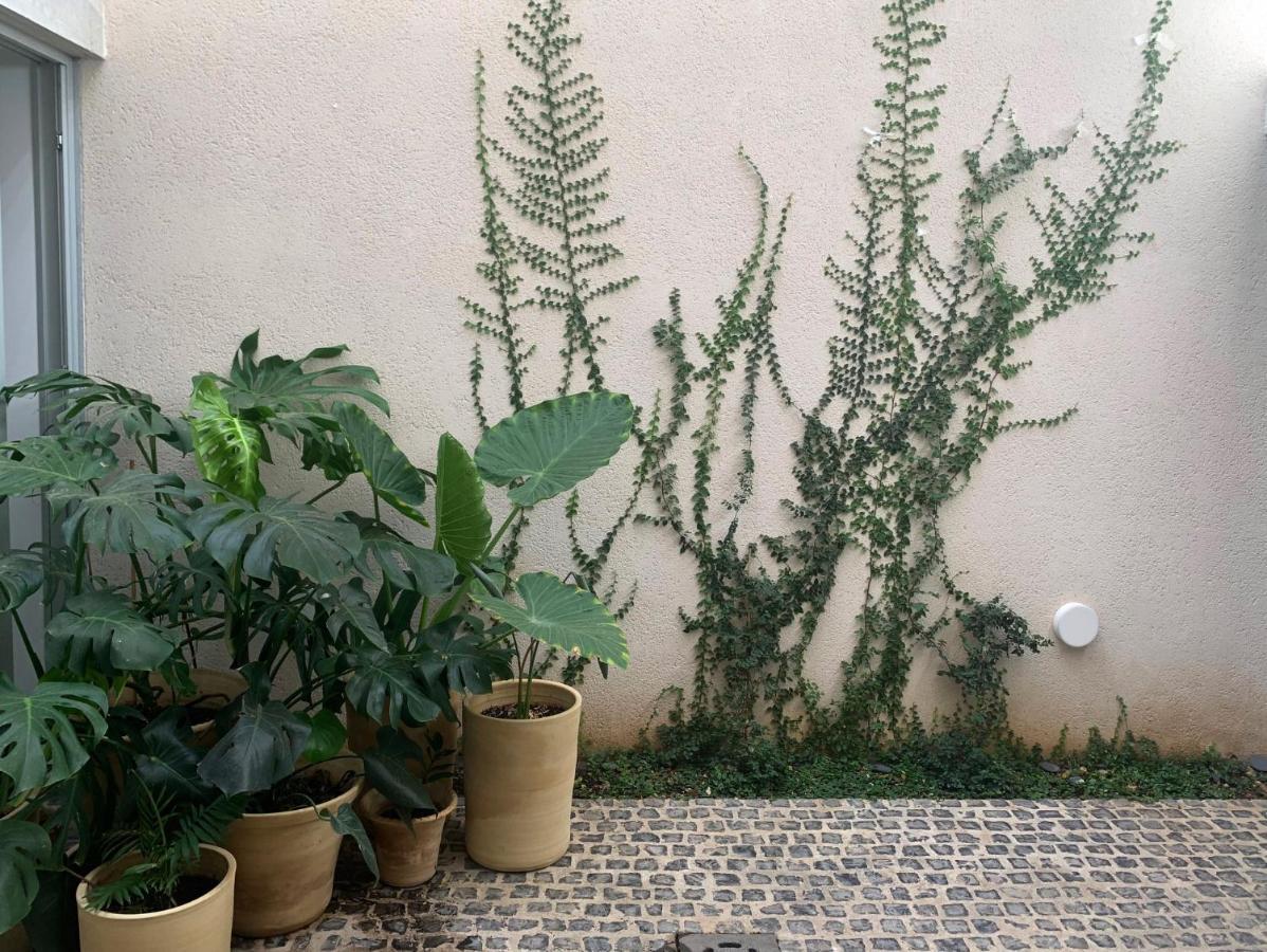 Design Apartment Near City Center, Cool Popular Neighborhood Sevilla Exterior foto